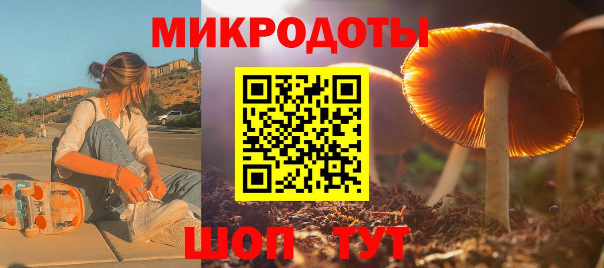 Псилоцибиновые грибы Cubensis Балашов