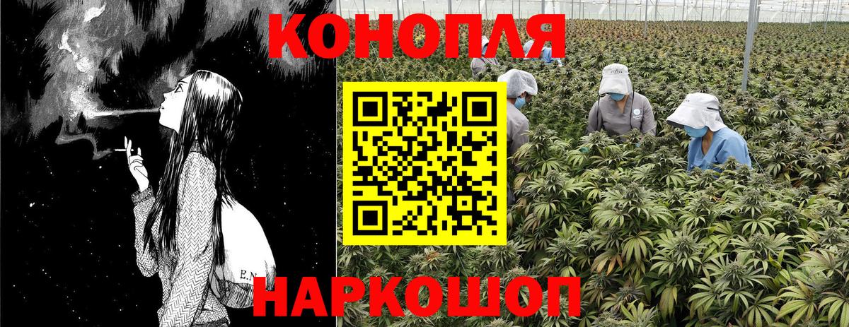 Бошки Шишки семена  Вход с VPN  Балашов  Конопля Bruce Banner  Канабис индика 